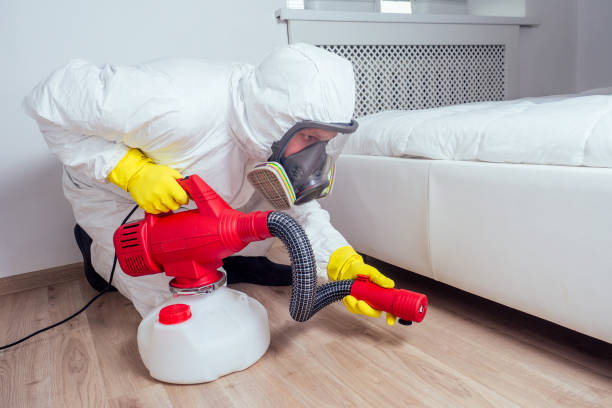 Best Flea Control Services  in Morgantown, WV