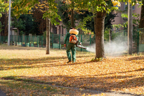 Best Pest Control for Businesses  in Morgantown, WV