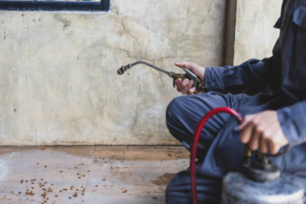 Best Pest Inspection Near Me  in Morgantown, WV